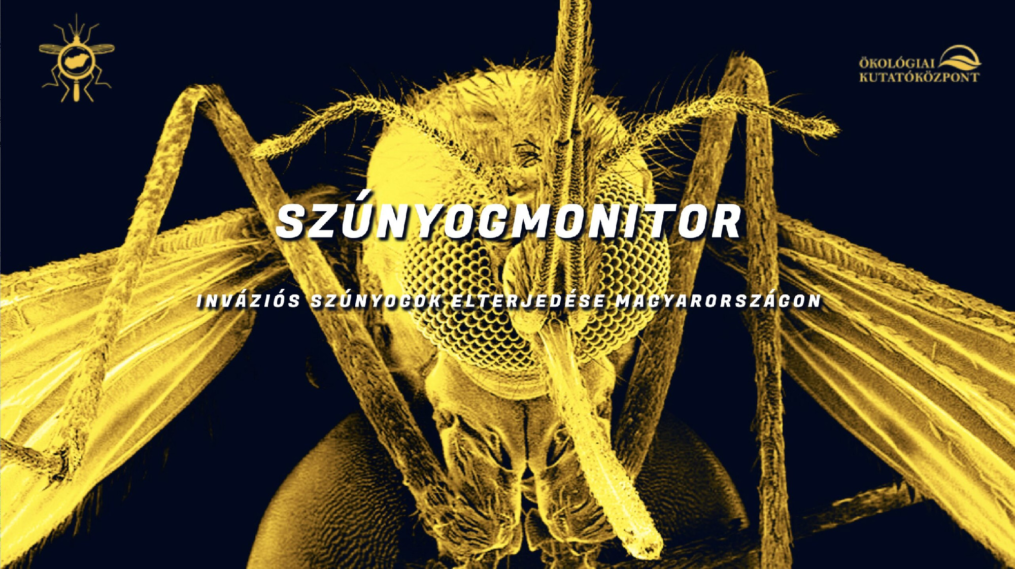 Hungarian Mosquito Surveillance project: CER launches new research project using the citizen science method to support the prevention of possible future epidemics