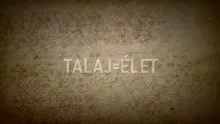 Az ATK Talajtani Intézete a Talaj Világnapján mutatta be a Talaj = Élet című filmet