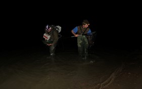 CER researchers investigate fish stock present in shallower sections of the Danube by fishing from the riverbank