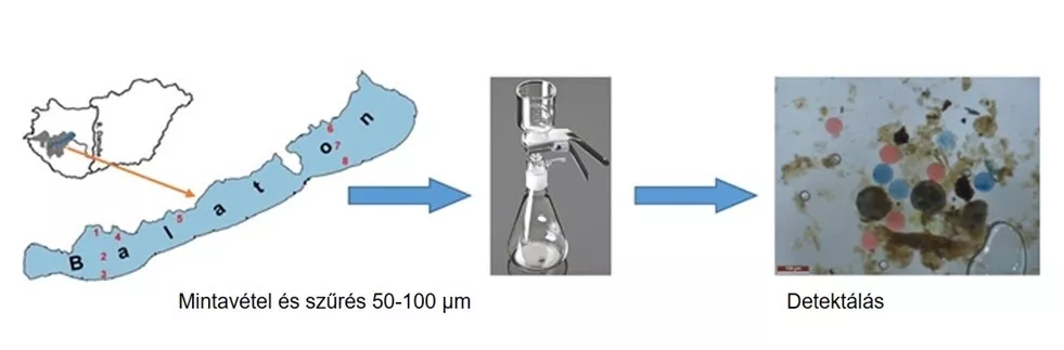 A BLKI kutatói más szakemberekkel együttműködve a Balatonban kimutatható mikroműanyagok jelenlétét és ökológiai hatásukat vizsgálták