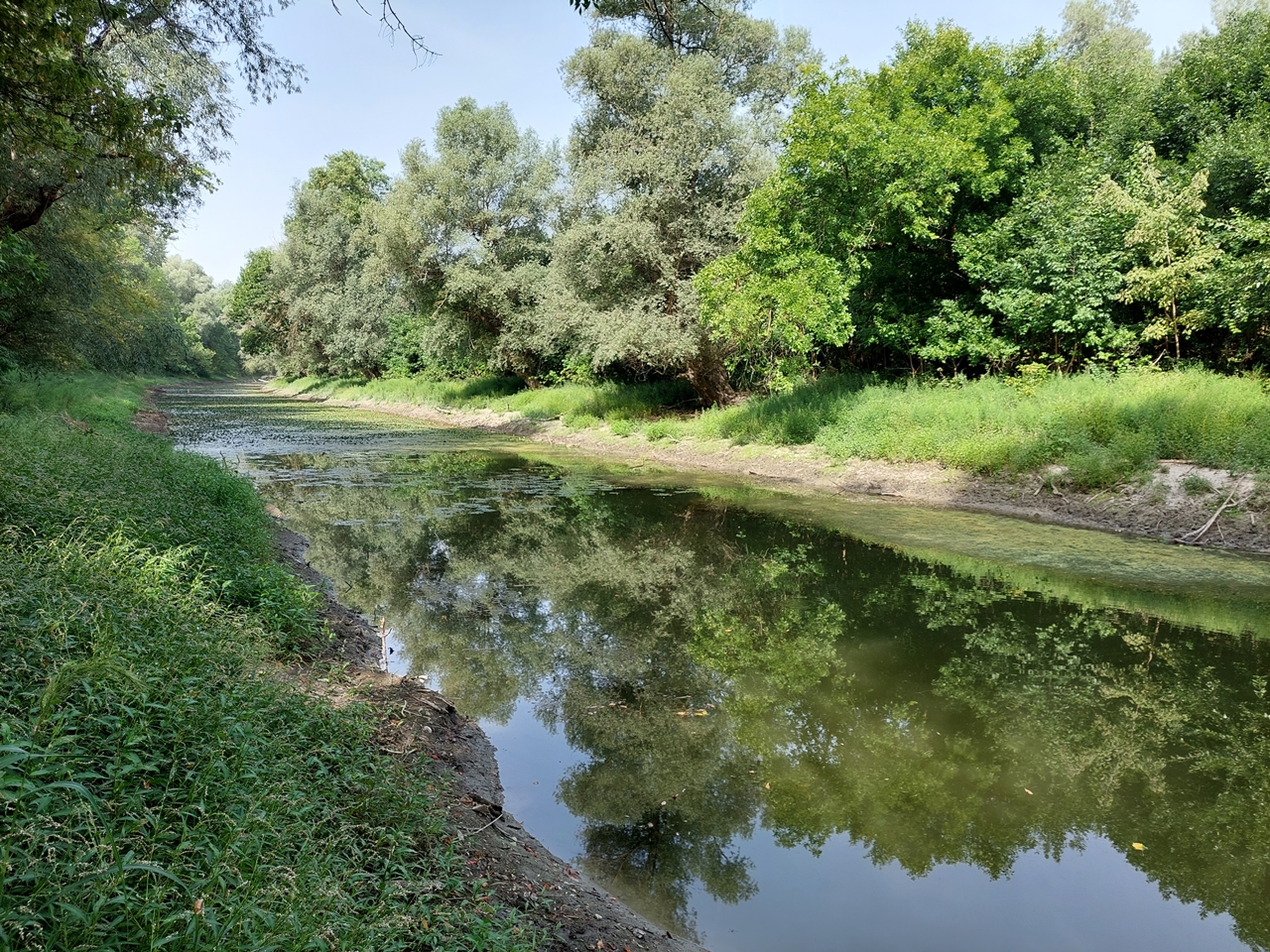 A HUN-REN BLKI kutatóinak vezetésével készült tanulmány jó alapul szolgálhat a folyók és ártereik fenntartható kezelésének tervezéséhez