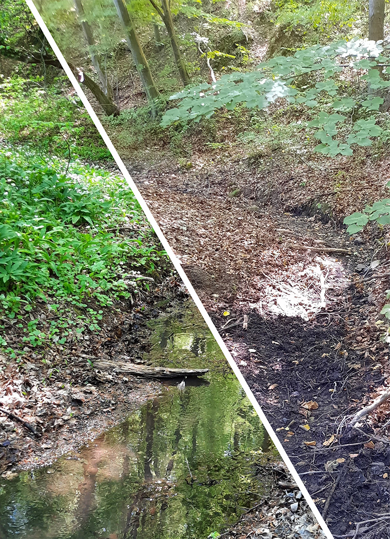 A HUN-REN Ökológiai Kutatóközpont (HUN-REN ÖK) munkatársai folyamatosan vizsgálják a klímaváltozás hazai ökoszisztémára gyakorolt hatásait. 