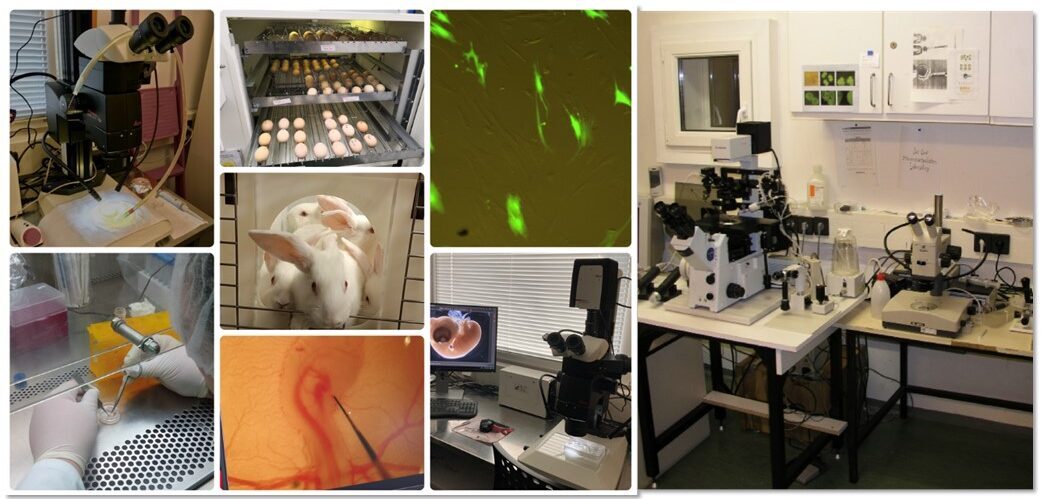 Significant new findings reported in the research areas of the Agribiotechnology and Precision Breeding for Food Security National Laboratory