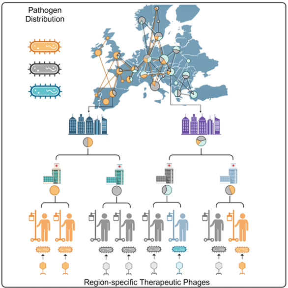 A Breakthrough Discovery in the Fight Against Superbugs Led by Hungarian Research Group